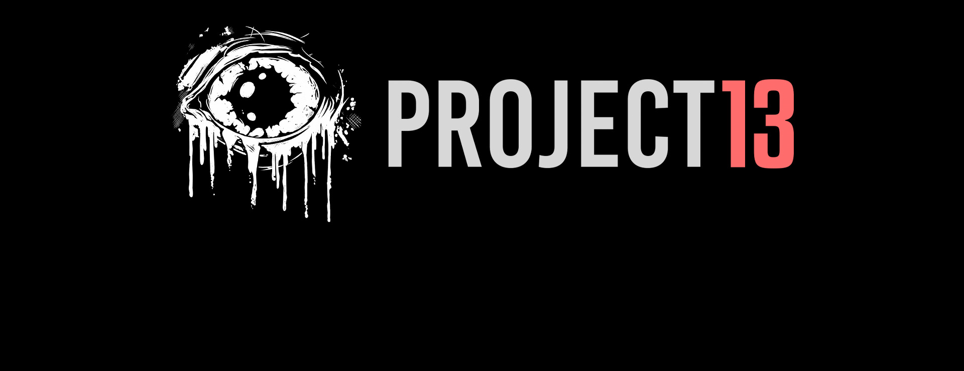 Project 13