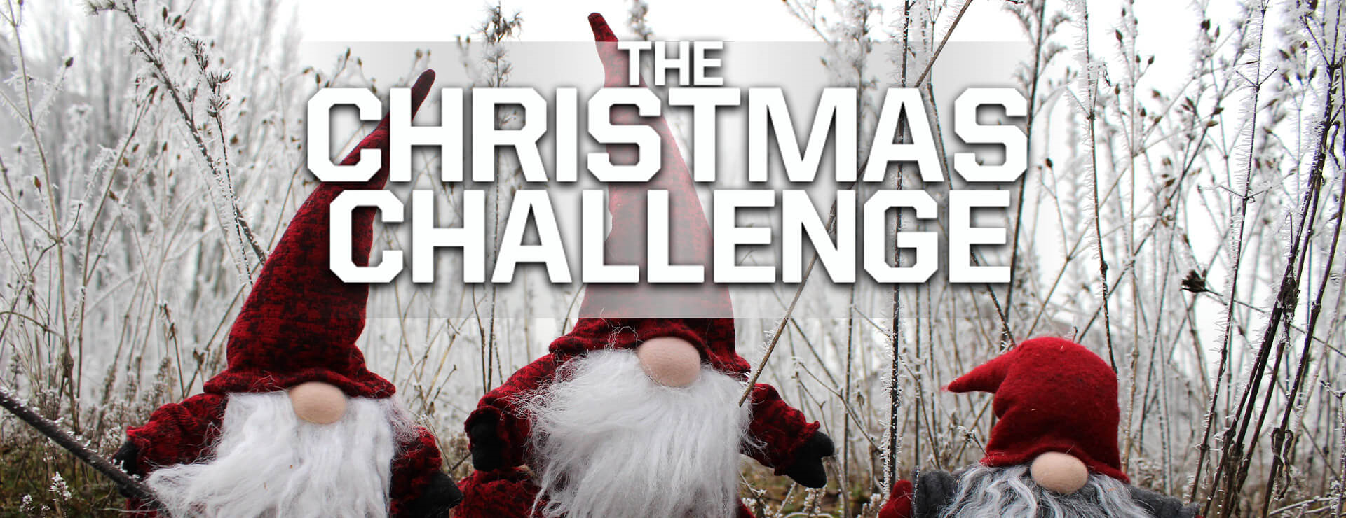 The Christmas Challenge